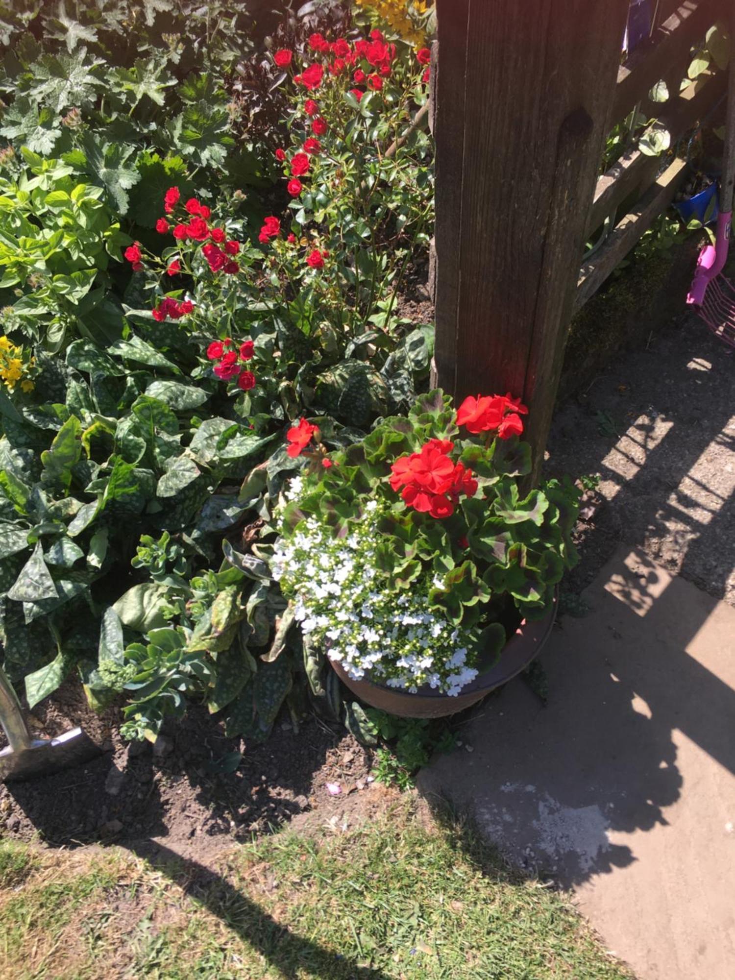 Oscar Park Farm Bed & Breakfast Йорк Екстериор снимка